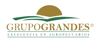 Cliente